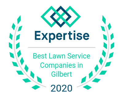 Best Lawn Service Companies in Gilbert