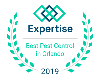 Best Pest Control Companies in Orlando