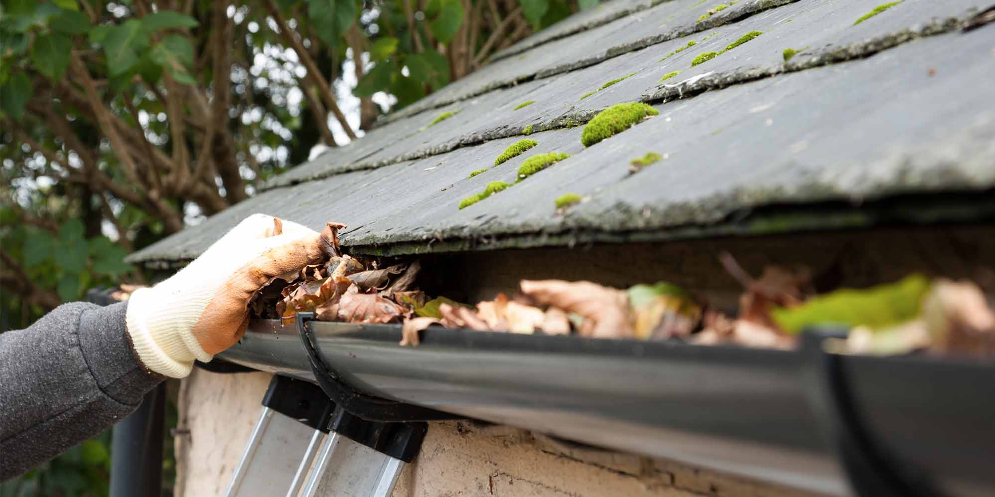 Image result for Professional Gutter Service