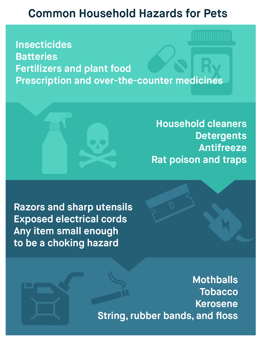 Common Household Hazards