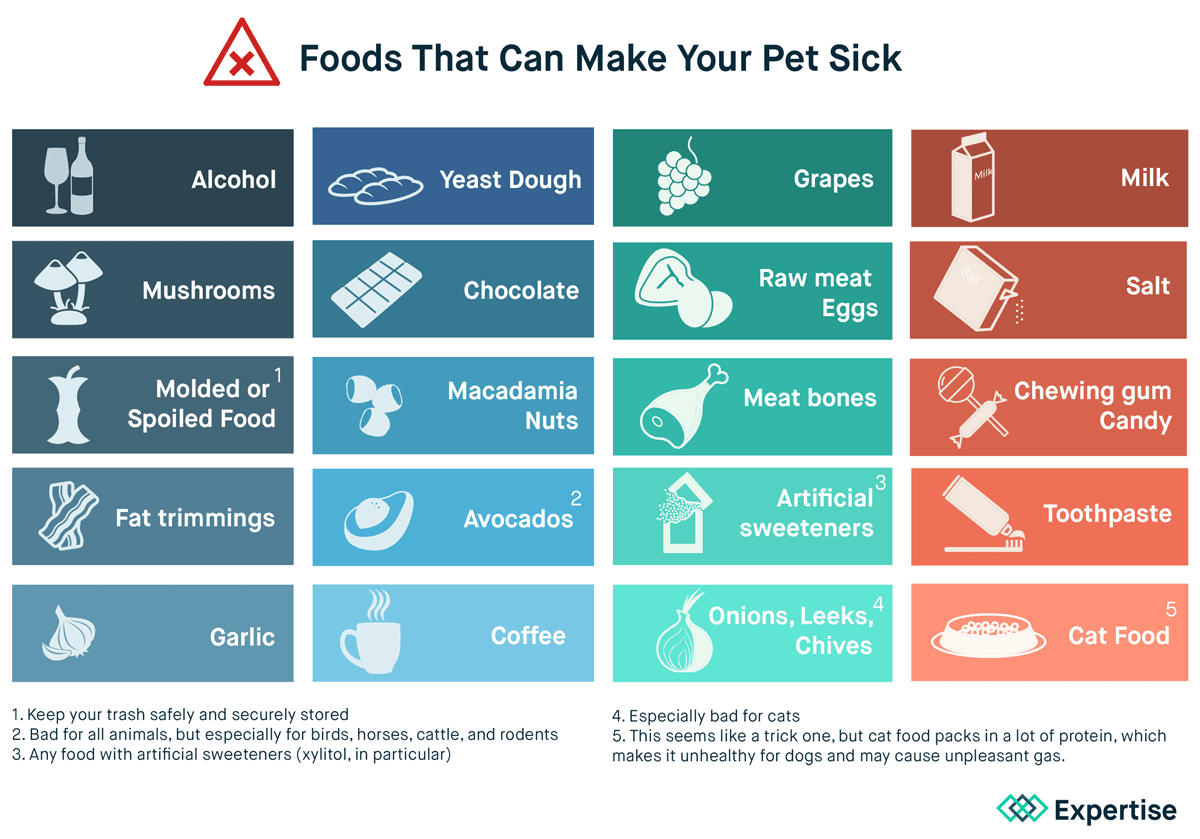 Dangerous Foods