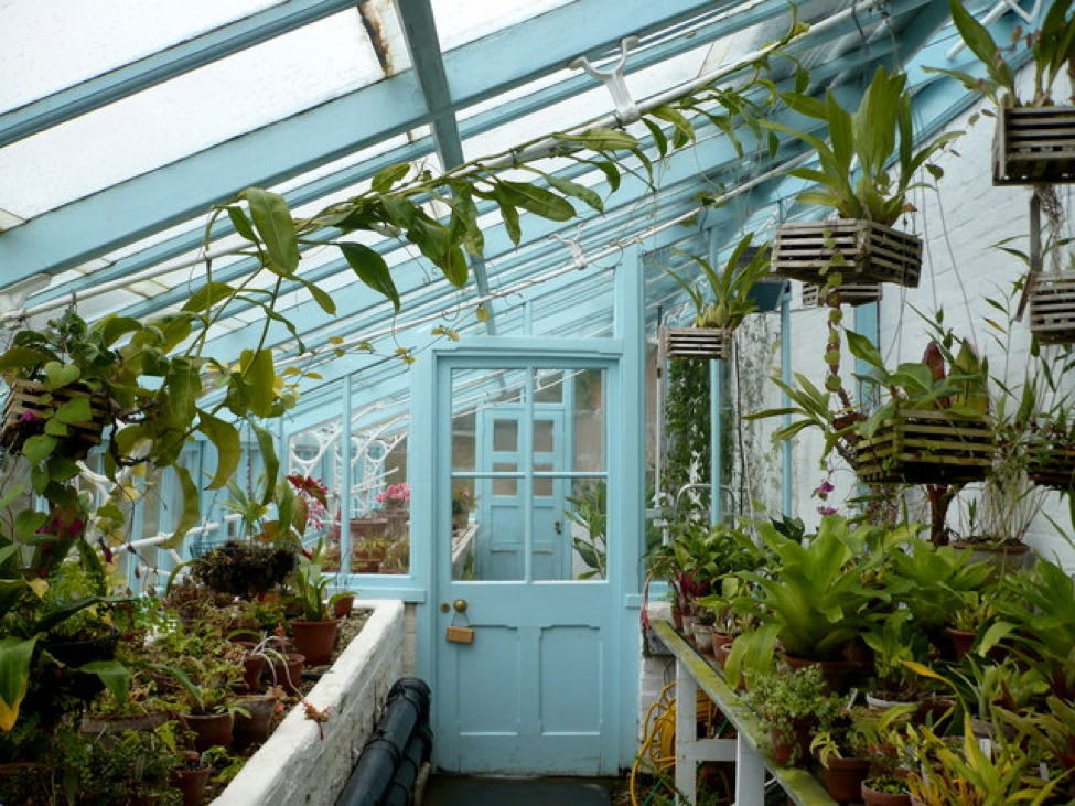 greenhouse-guide-img1