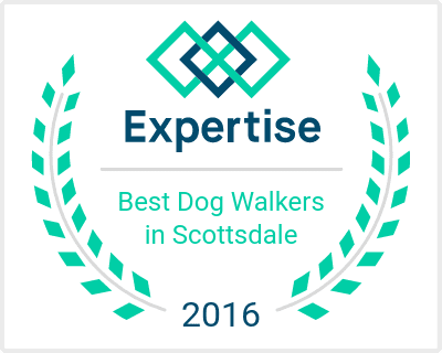 Best Dog Walkers in Scottsdale