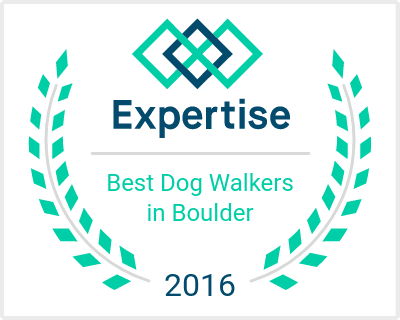 Best Dog Walkers in Boulder