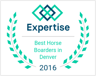 Best Horse Boarders in Denver