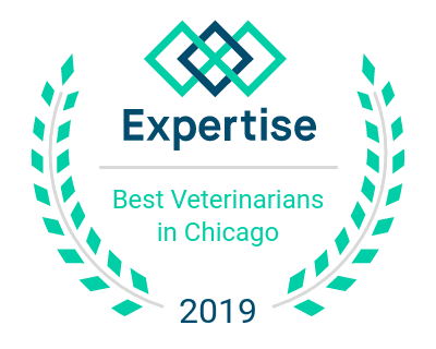 Best Veterinarians in Chicago