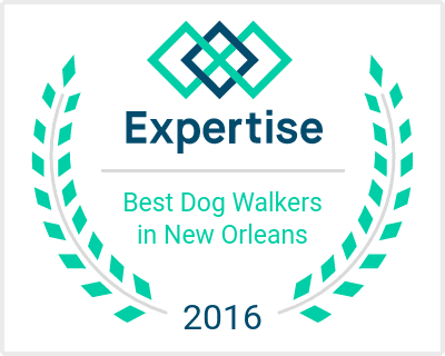Best Dog Walkers in New Orleans