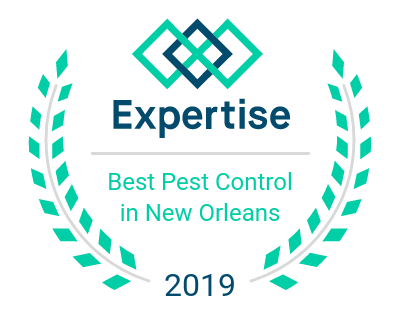 Best Pest Control Companies in New Orleans