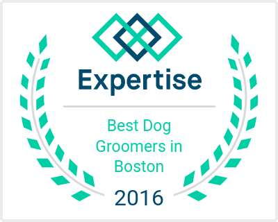 Best Dog Groomers in Boston