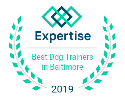 Best Dog Trainers in Baltimore