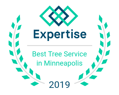 Best Tree Service Professionals in Minneapolis