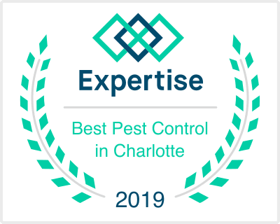 Best Pest Control Companies in Charlotte