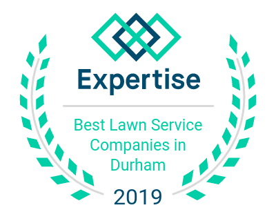 Best Lawn Service Companies in Durham