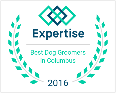 Best Dog Groomers in Columbus 2016 Award