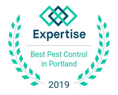 Best Pest Control Companies in Portland