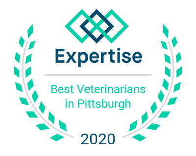 Best Veterinarians in Pittsburgh