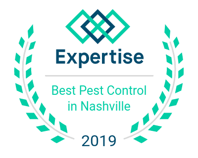 Best Pest Control Companies in Nashville