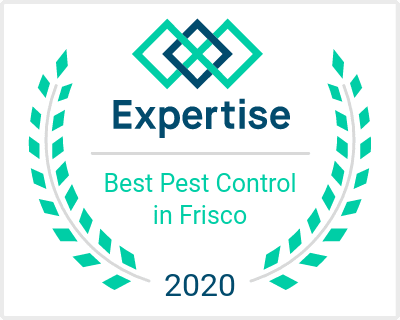 Best Pest Control Companies in Frisco