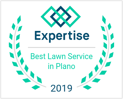 Best Lawn Service Companies in Plano