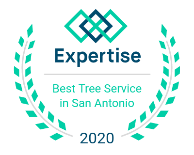 Best Tree Service Professionals in San Antonio