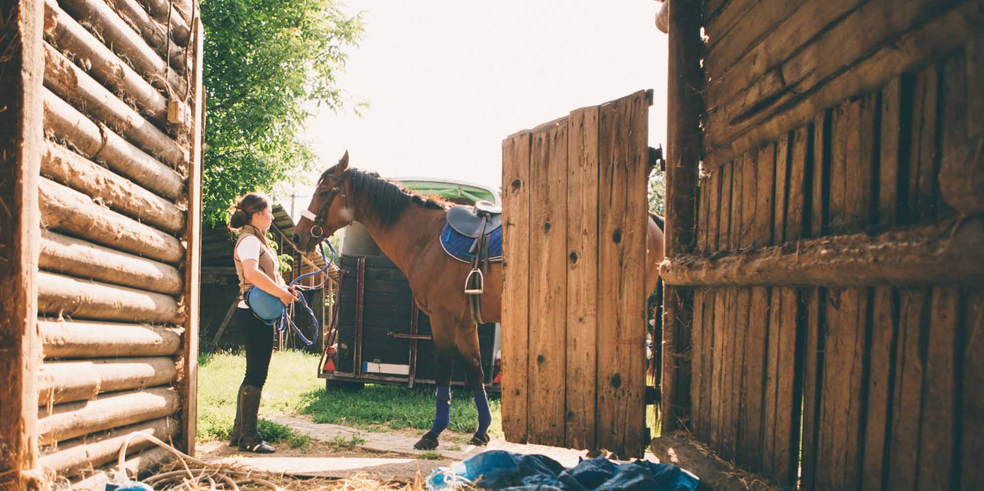 edgeview equestrian center