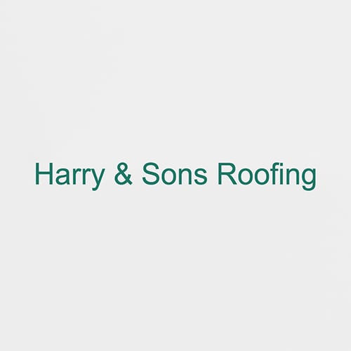25 Best Washington Dc Roofers Expertise