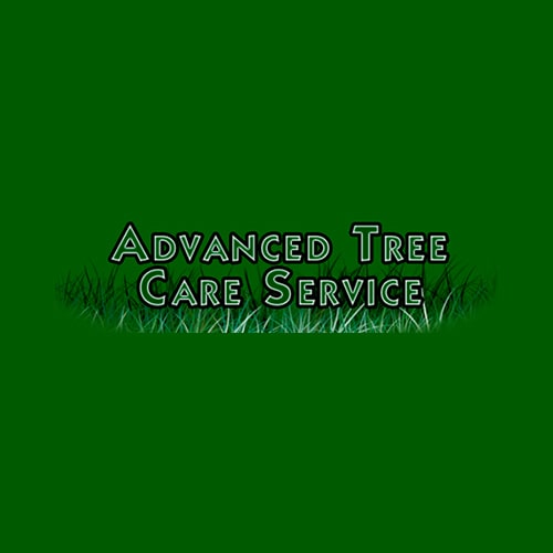 20 Best Sacramento Tree Service Professionals Expertise