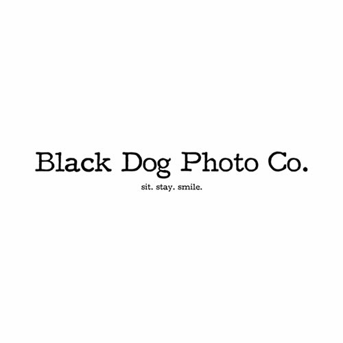Wedding Enement Photographer In Akron Ohio Loren Jackson Professional Wedding Photographers Videographers Serving Youngstown Canton Akron And Cleveland Ohio