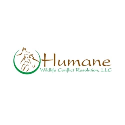 8 Best Manas Pest Control Companies Expertise Humane Wildlife Conflict Resolution Llc