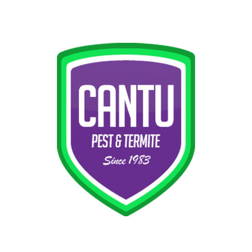 20 Best Arlington Pest Control Companies Expertise