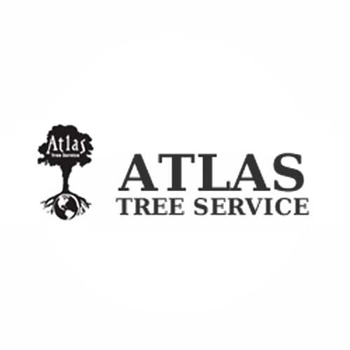 20 Best Salt Lake City Tree Service Professionals Expertise Atlas Tree Service