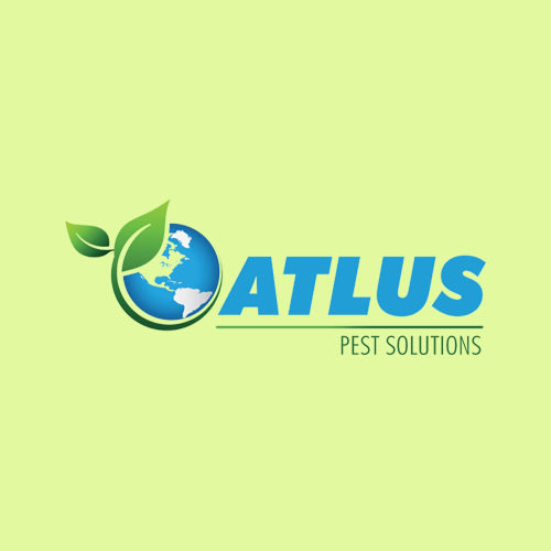 23 Best Memphis Pest Control Companies | Expertise