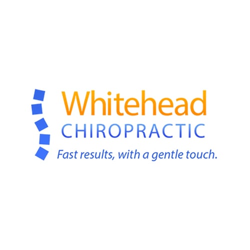 22 Best Austin Chiropractors Expertise