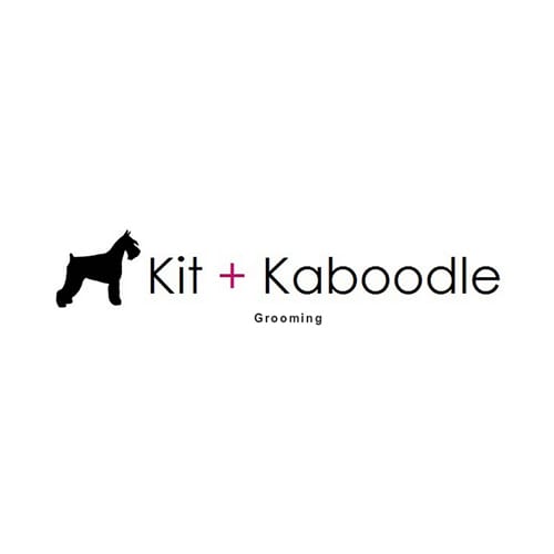 dog grooming austin tx dog grooming austin tx