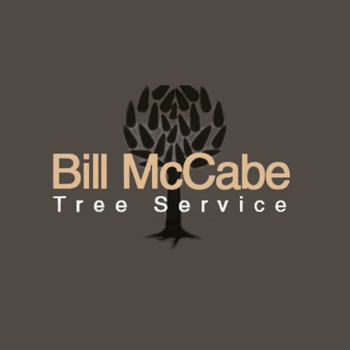 18 Best St. Louis Tree Service Professionals Expertise