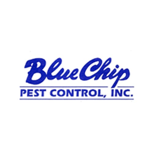 10 Best Huntington Beach Pest Control Companies Expertise Here Are The Picks