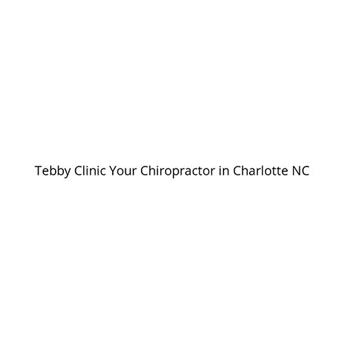 20 best charlotte chiropractors expertise