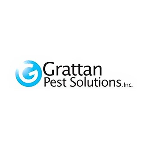 20 Best Charlotte Pest Control Companies | Expertise