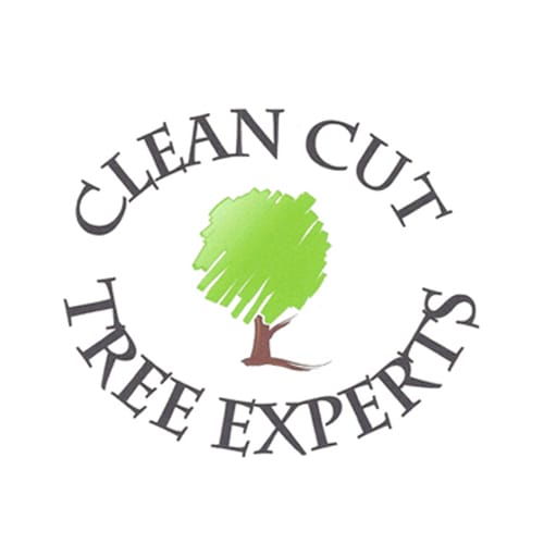 15 Best Detroit Tree Service Professionals Expertise