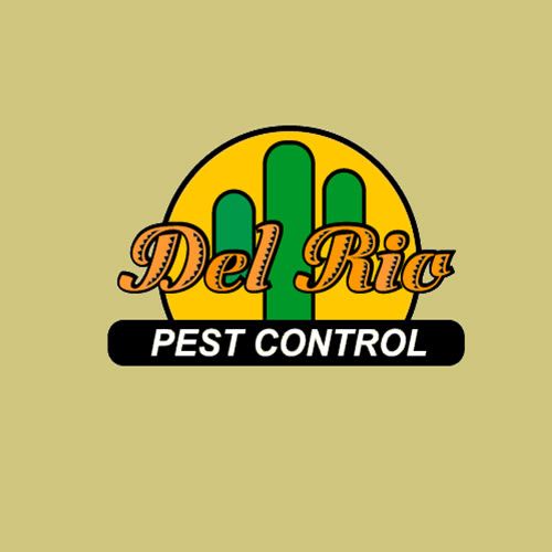 25 Best Pasadena Pest Control Companies | Expertise