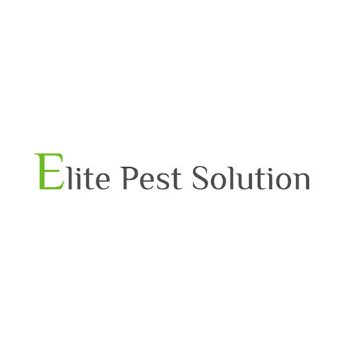 20 Best Salt Lake City Pest Control Companies Expertise