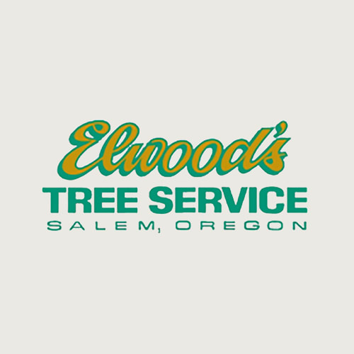 9 Best Salem Tree Service Professionals Expertise