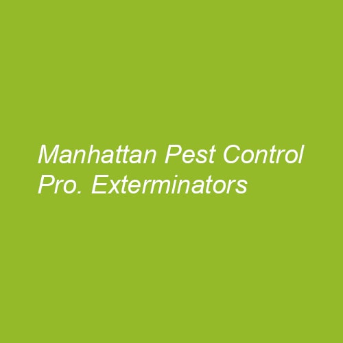 32 Best New York City Pest Control Companies | Expertise