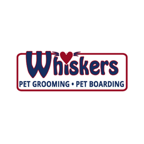 8 Best Greenville Dog Groomers | Expertise