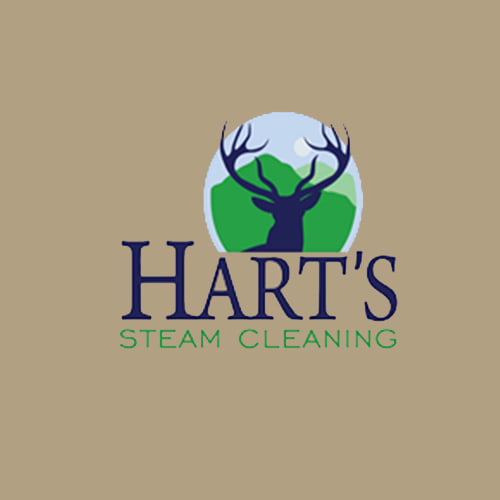 7 Best Cedar Park Carpet Cleaners Expertise 7 Best Cedar Park Carpet Cleaners
