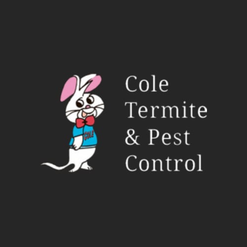 What are some highly-rated termite control companies according to experts?