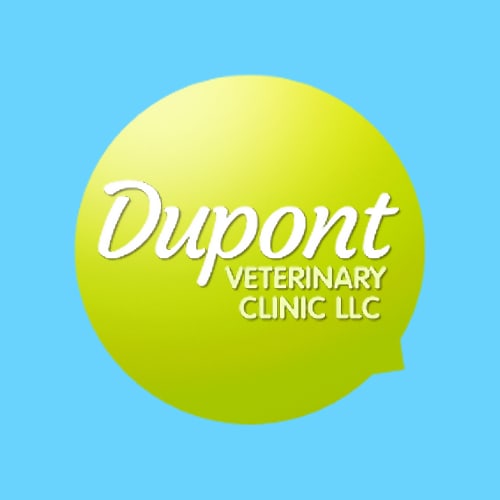 19 best lafayette veterinarians