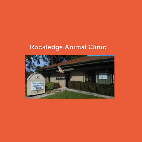 17 Best Melbourne Veterinarians | Expertise