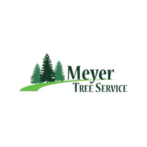 20 Best St. Louis Tree Service Professionals Expertise