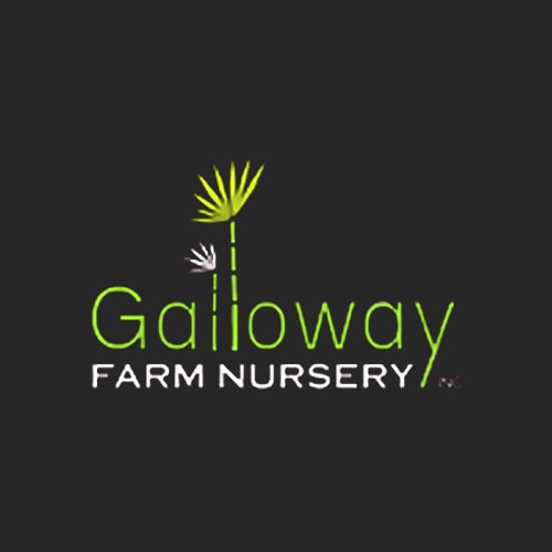 18 Best Miami Garden And Nursery S Expertise